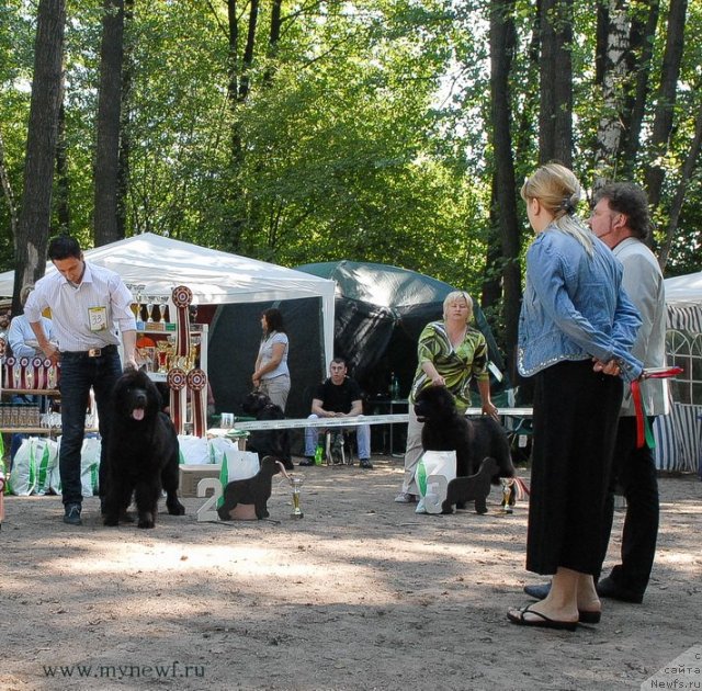 Фотография № 102602