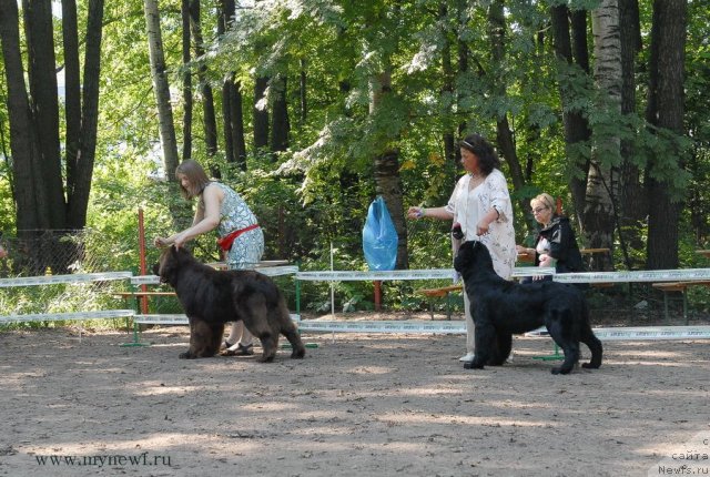 Фотография № 102604