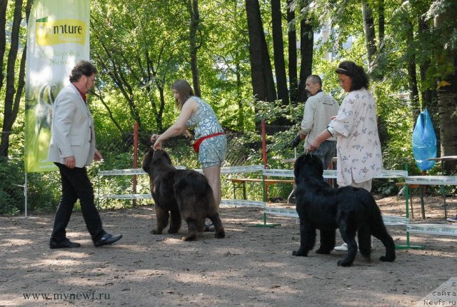 Фотография № 102605