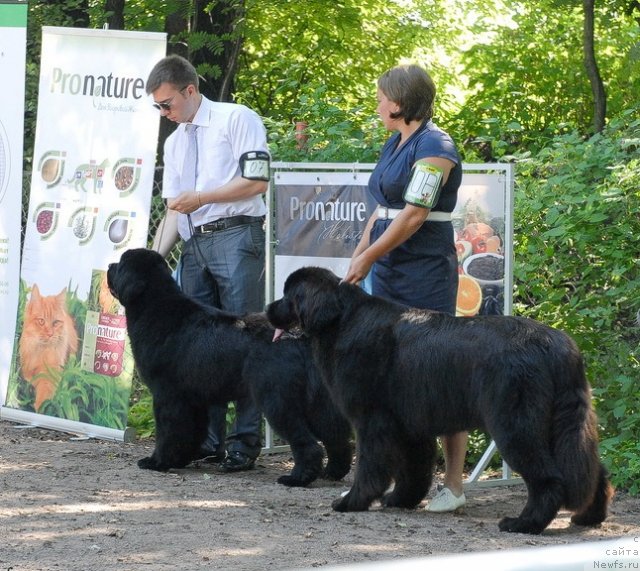 Фотография № 102611