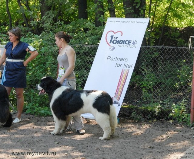 Фотография № 102612