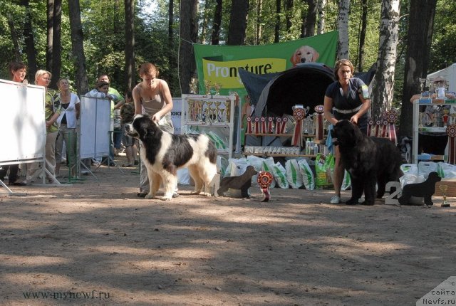 Фотография № 102613