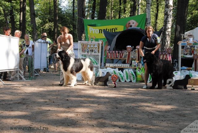 Фотография № 102614