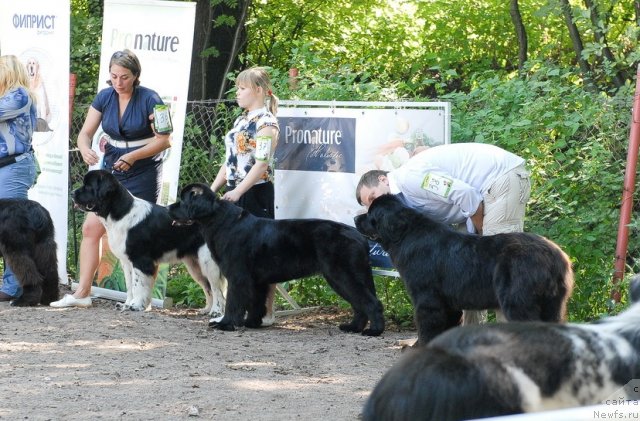 Фотография № 102620