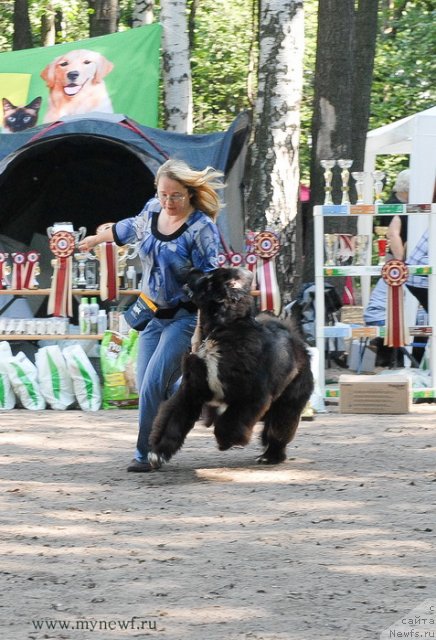 Фотография № 102621