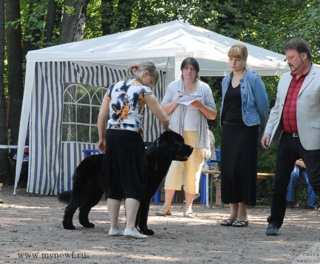 Фотография № 102624