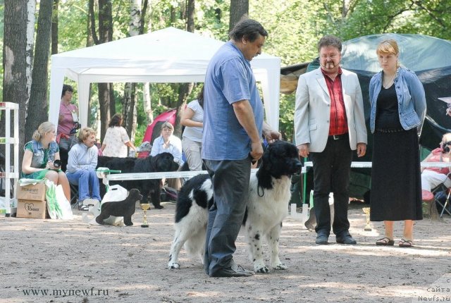 Фотография № 102629