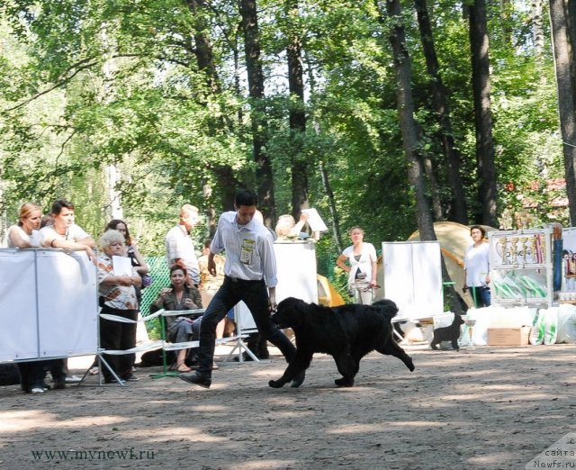 Фотография № 102632