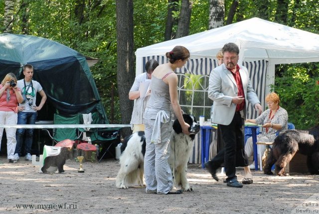 Фотография № 102637