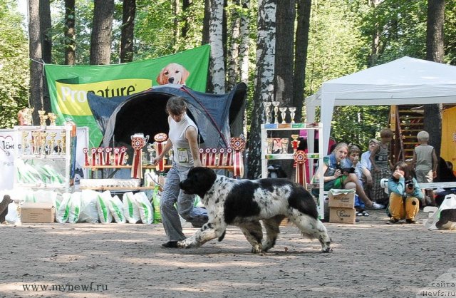 Фотография № 102639