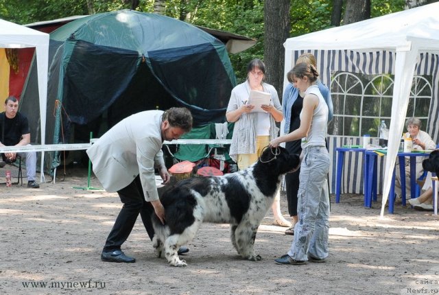 Фотография № 102640