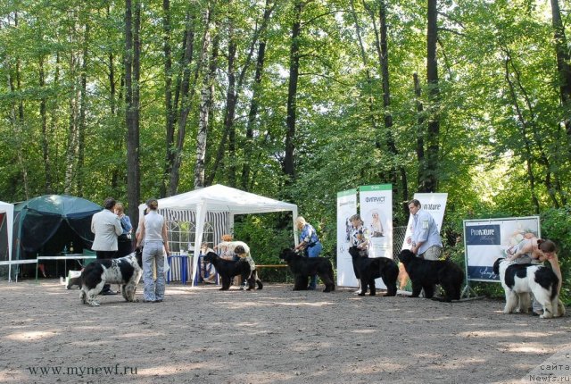 Фотография № 102642