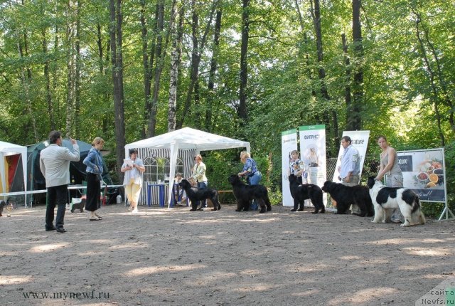 Фотография № 102644