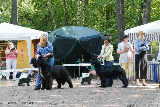 Фотография № 102648