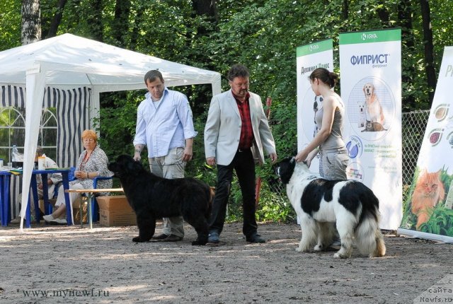 Фотография № 102649