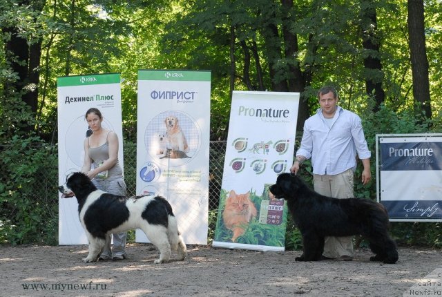 Фотография № 102650