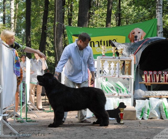 Фотография № 102651