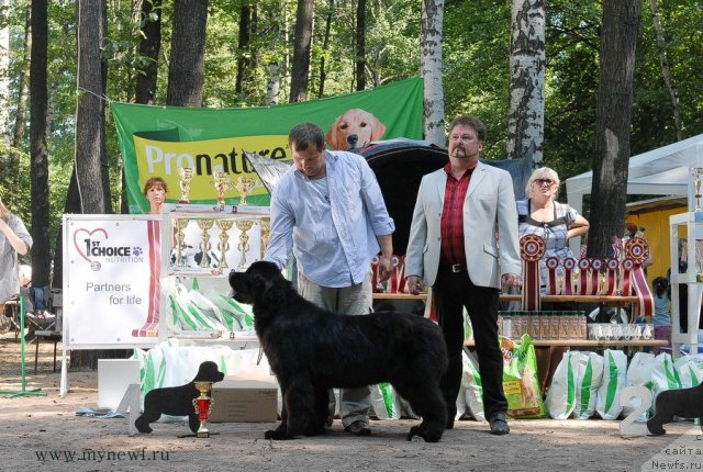 Фотография № 102652