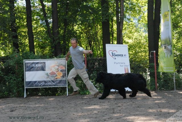 Фотография № 102657