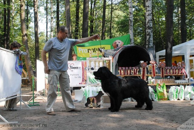 Фотография № 102660