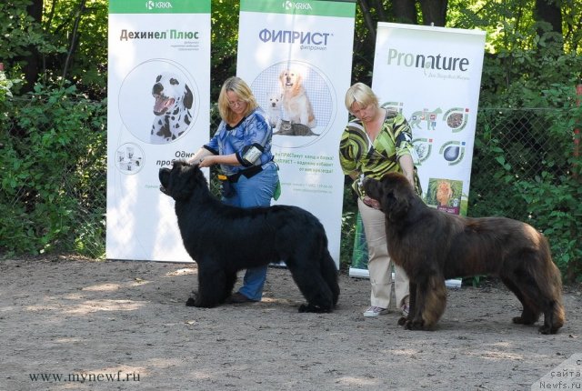 Фотография № 102670