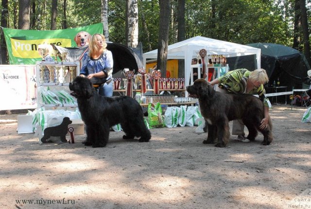 Фотография № 102675