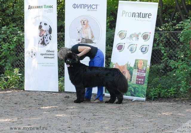 Фотография № 102681