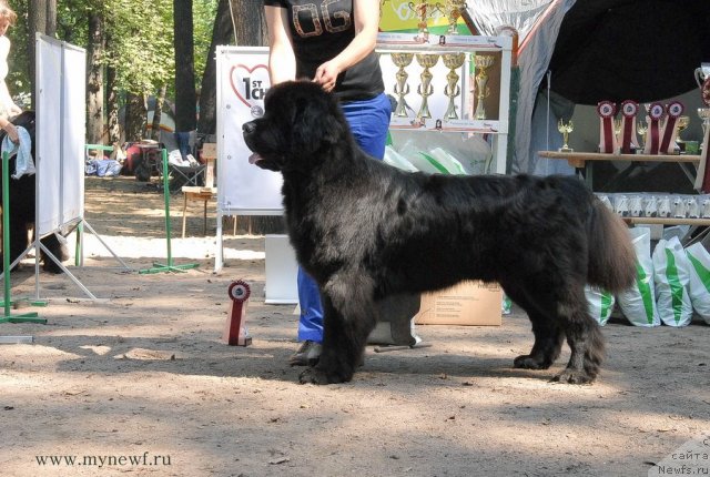 Фотография № 102684