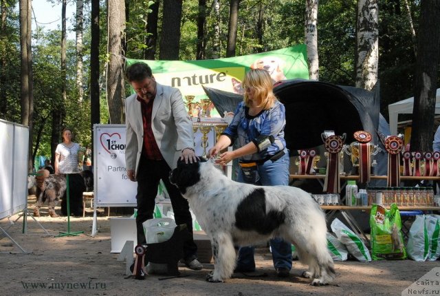 Фотография № 102687