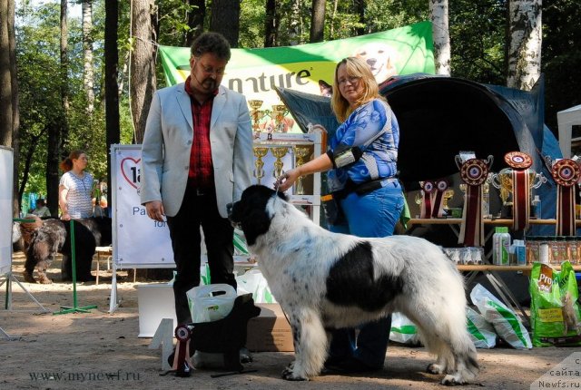 Фотография № 102689