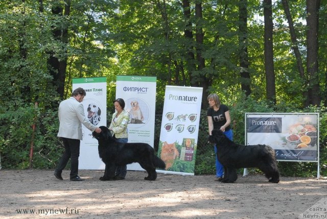 Фотография № 102690