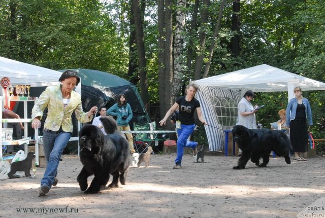 Фотография № 102691