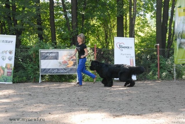 Фотография № 102692