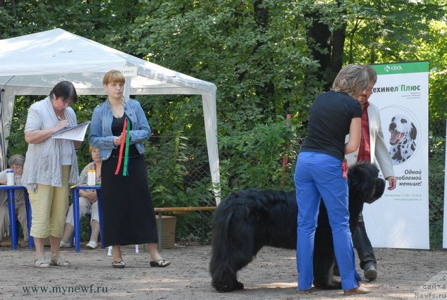 Фотография № 102693