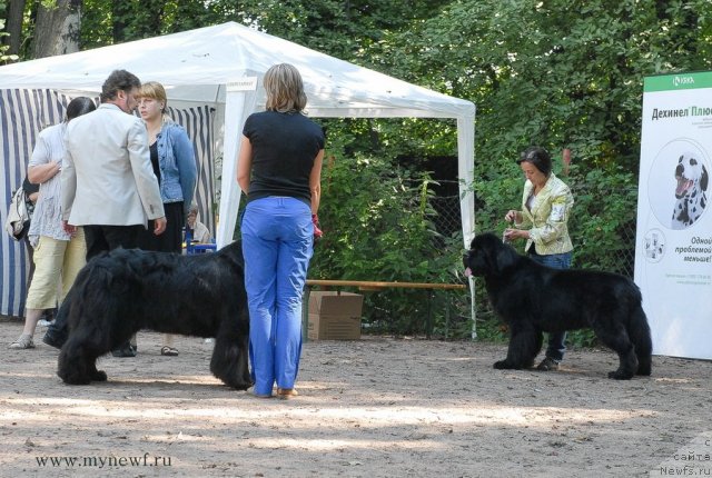 Фотография № 102695