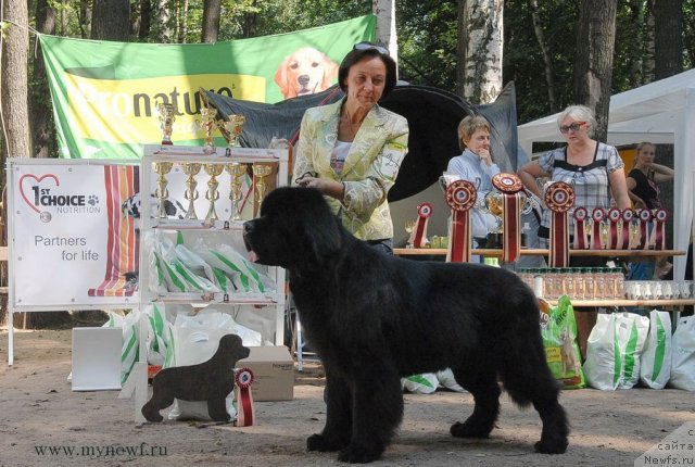 Фотография № 102696