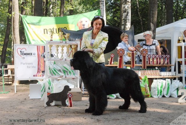 Фотография № 102697