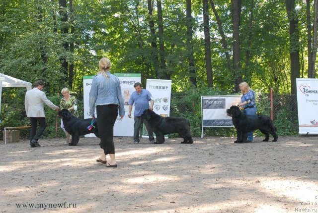 Фотография № 102700