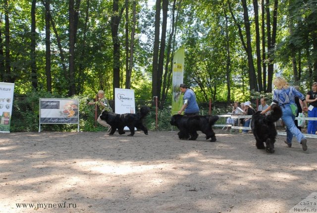 Фотография № 102703