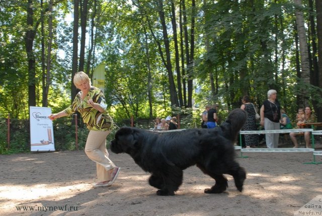 Фотография № 102705