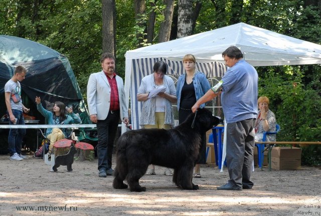 Фотография № 102707