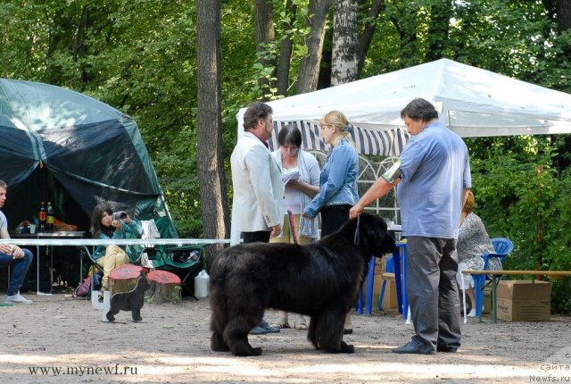 Фотография № 102708