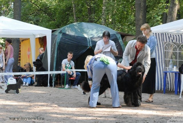 Фотография № 102711