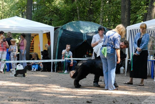 Фотография № 102712