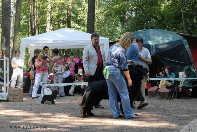 Фотография № 102713