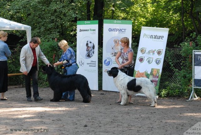 Фотография № 102714