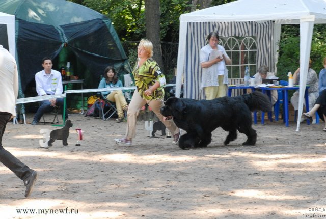 Фотография № 102716