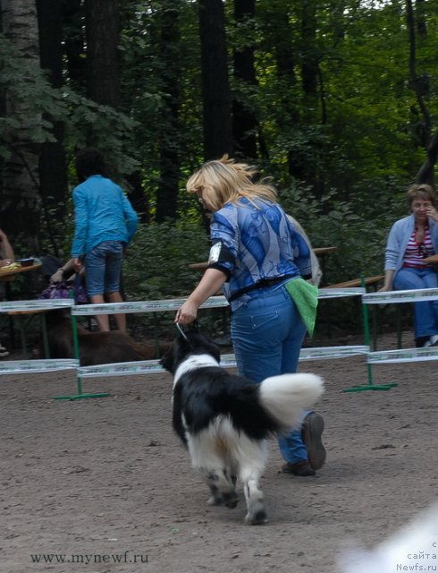 Фотография № 102728