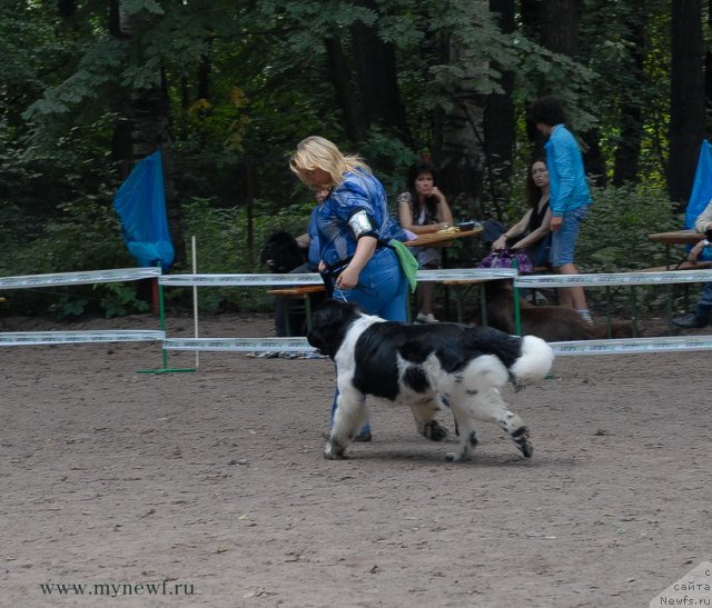 Фотография № 102729