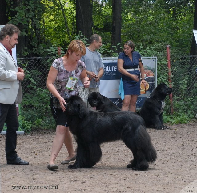 Фотография № 102730